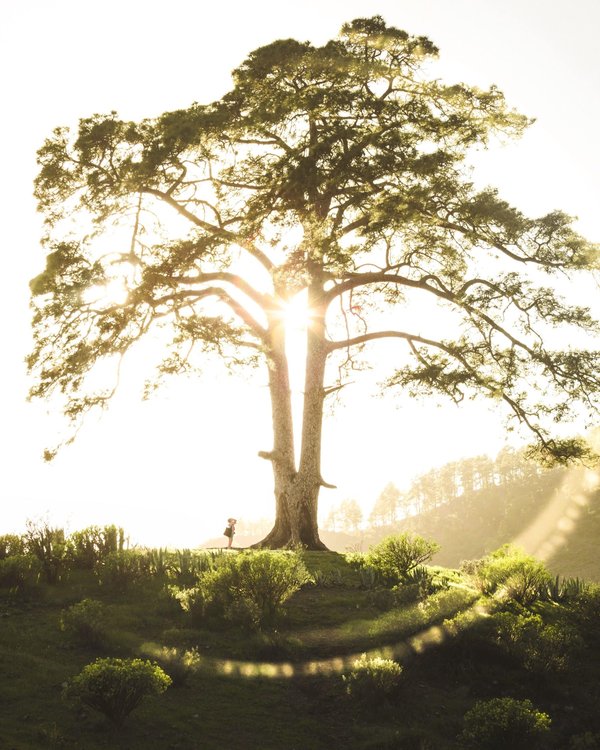 les joueurs français qui ont marqué l'histoire de la Coupe du Monde
